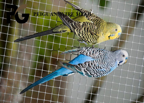 Baixa rede de arame 12.7mmx12.7mm do ferro do carbono para gaiolas das aves domésticas