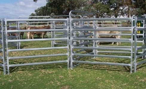 O círculo cerca o gado que de aço dos rebanhos animais 1.8m a jarda almofada quente mergulhada galvanizado